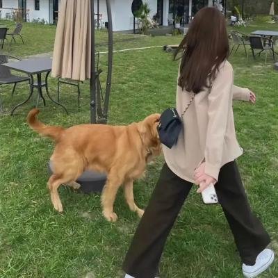 踢踏人生