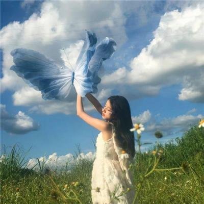 何处寻真相