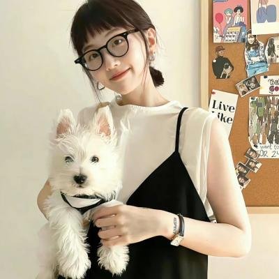 谎言之城